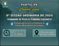8ª Sessão Ordinária de 2025 (11/04)