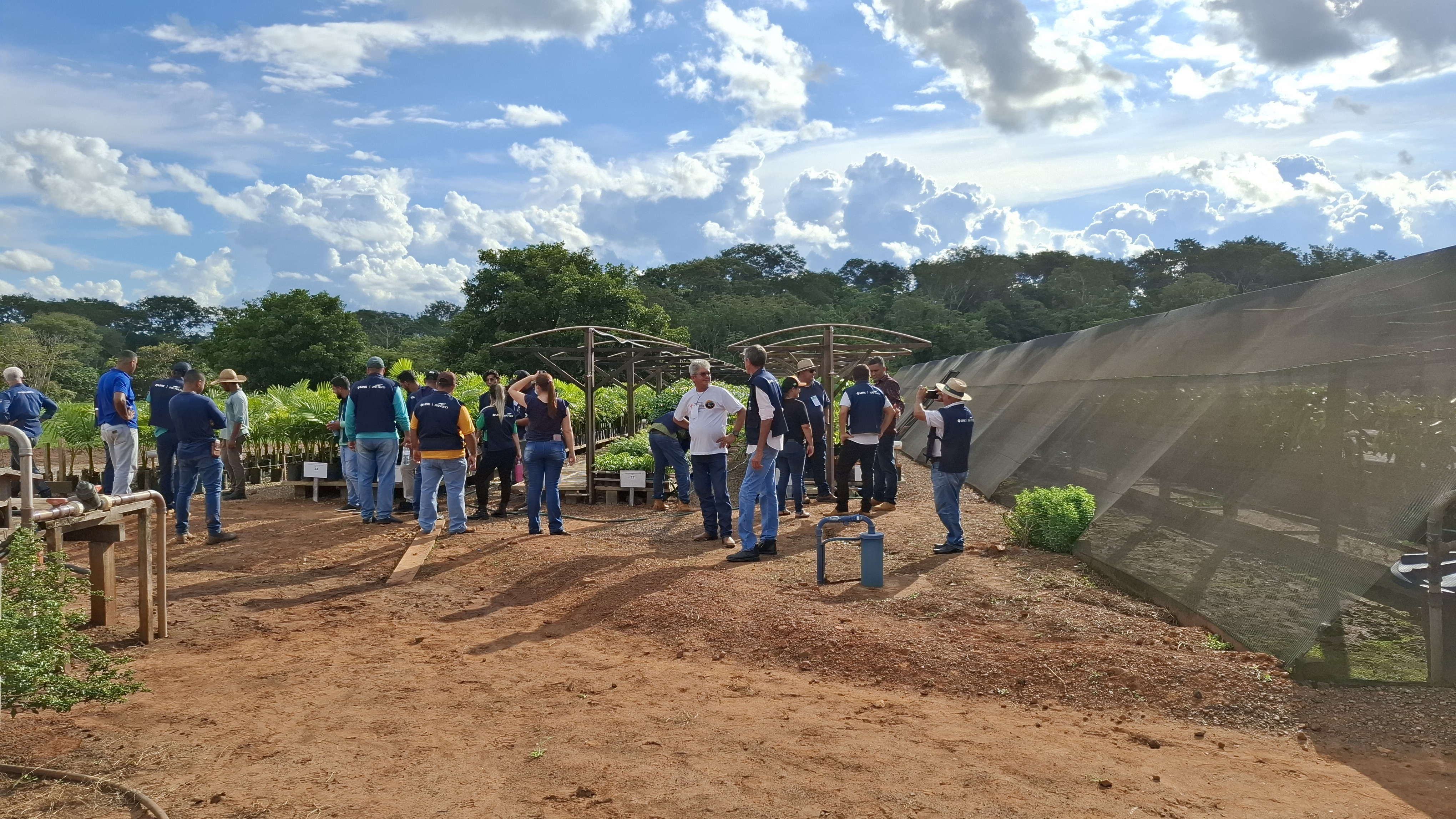 Colhendo Sementes, Construindo Viveiros, Plantando Florestas