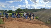 Colhendo Sementes, Construindo Viveiros, Plantando Florestas