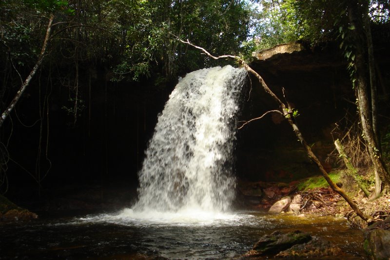 CACHOEIRA DO SERRADO - VERDE SERINGAL
