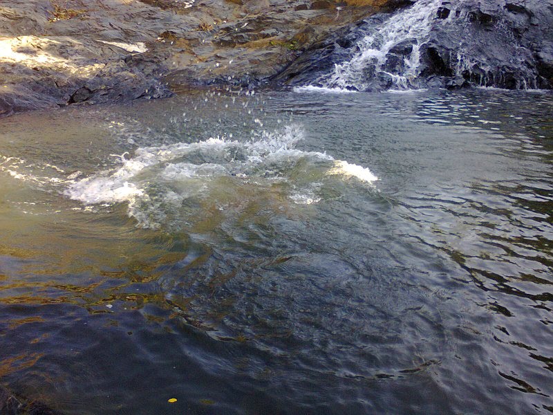 CACHOEIRA DO SR. OSWALDO - LINHA 04